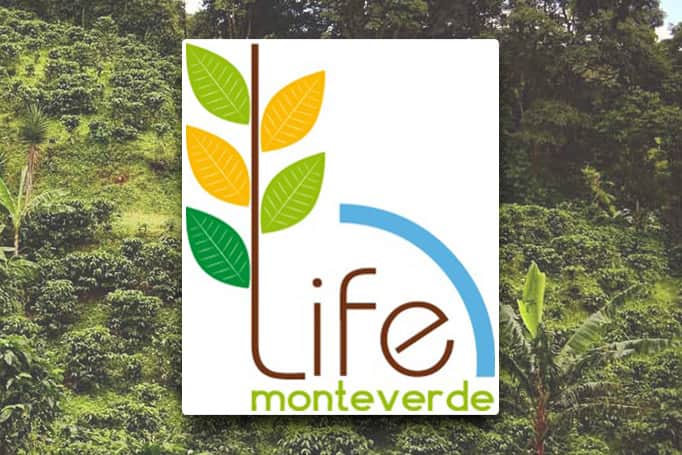 Life Mnteverde