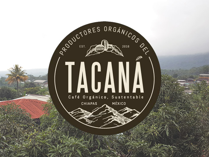 Tacana Cafe Organic